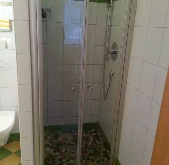 Standard Yhden Hengen Huone, Gasthof Zur Post
