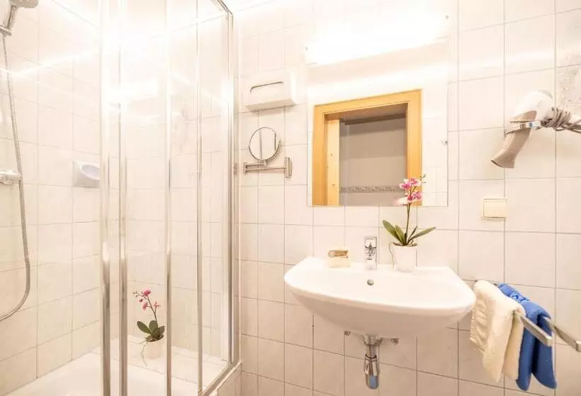 スタンダードシングルルーム, örglwirt Ferienwelt   Hotel Post örglwirt