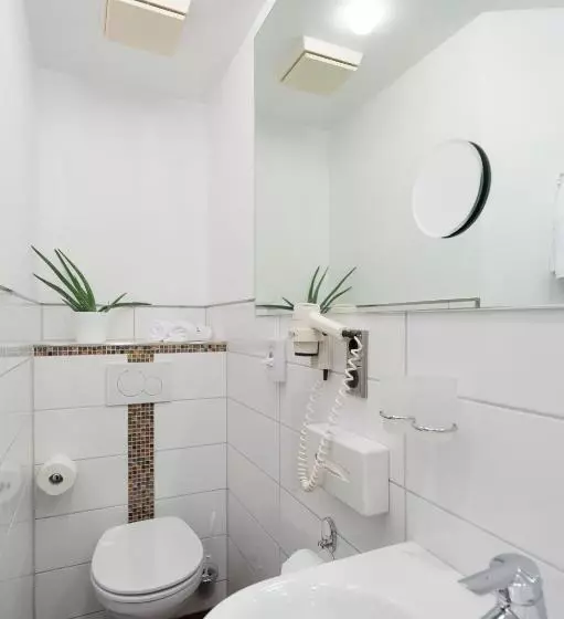 Standard-huone, Ambient Hotel Zum Schwan
