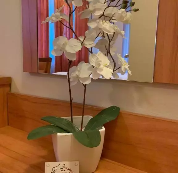 バルコニー付きシングルスタンダードルーム, Albergo Cavallino S'rössl