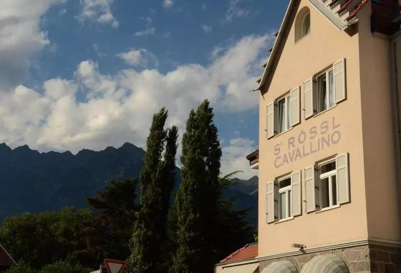 テラス付スタンダードルーム, Albergo Cavallino S'rössl