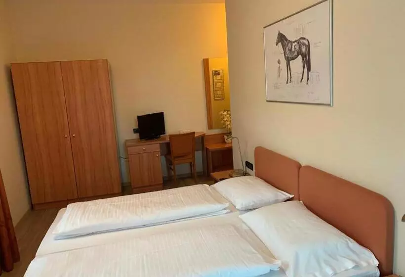 テラス付きスタンダードルーム, Albergo Cavallino S'rössl