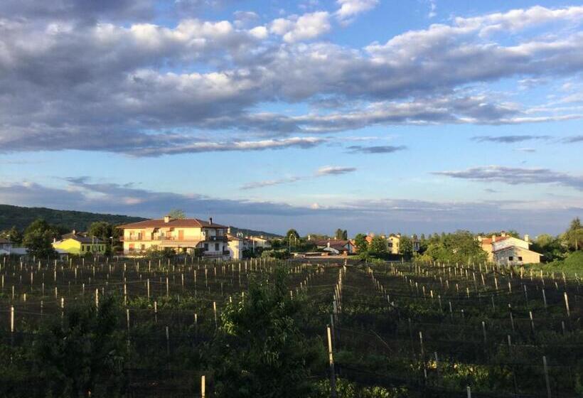 스탠다드 싱글 룸, Albergo Grappolo D'oro