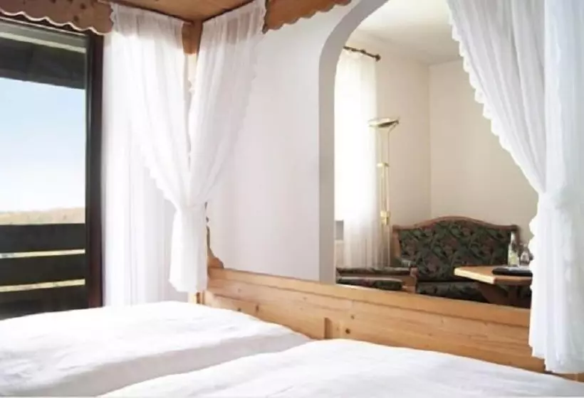 スタンダードシングルルーム, Gasthof Schönblick