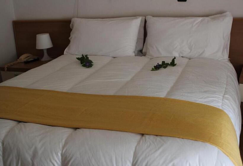 标准单人间, La Fenice