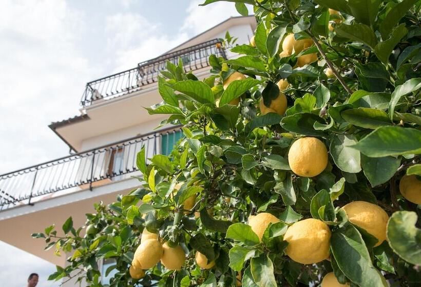 ２ベッドルームのスーペリアアパートメント, Residence Oleandro