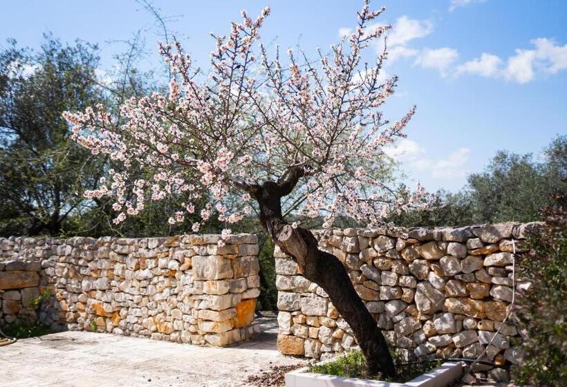 آپارتمان سوپریور 1 خوابه, Masseria Montepaolo Dimora Di Charme