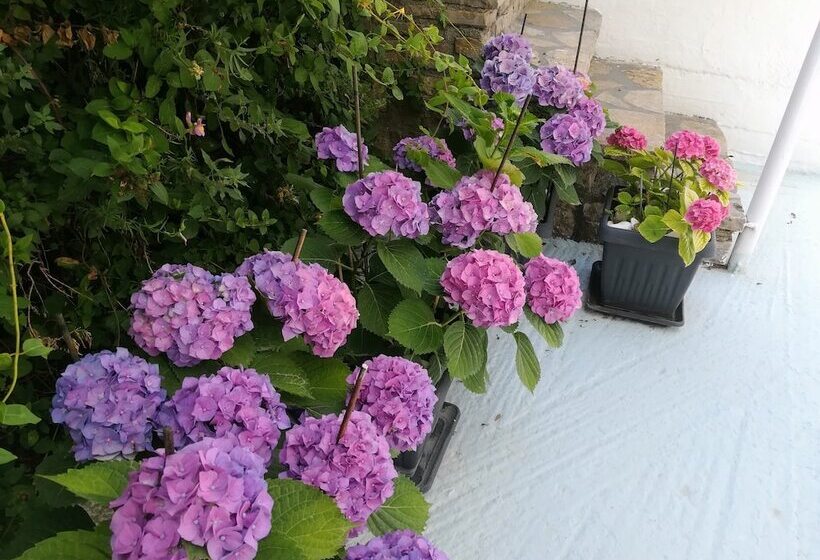 استودیو استاندارد با چشمانداز باغ, Scorpios Hotel & Suites