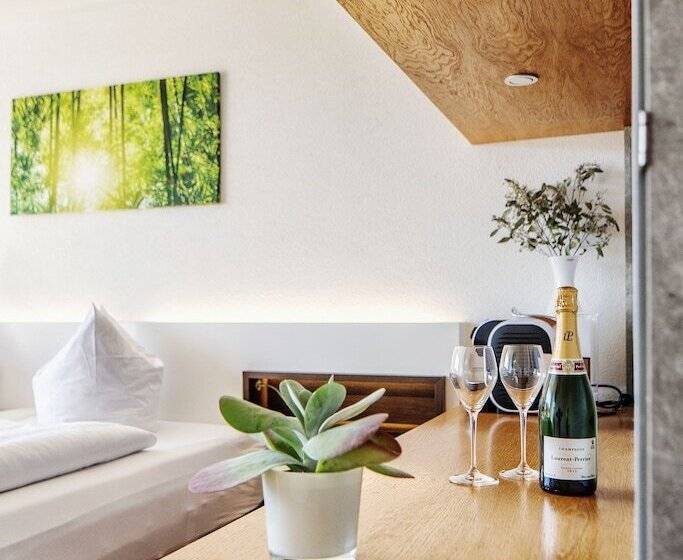 Номер Стандартный с Видом, Seehotel Litz