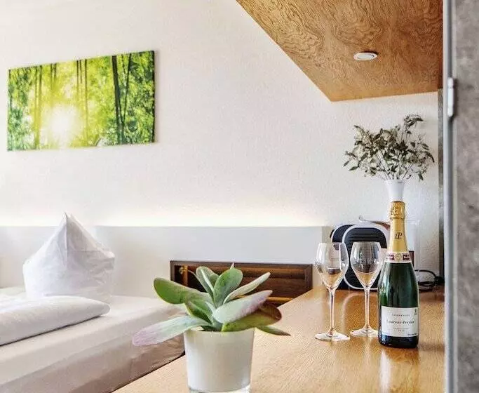 シングルデラックスルーム, Seehotel Litz