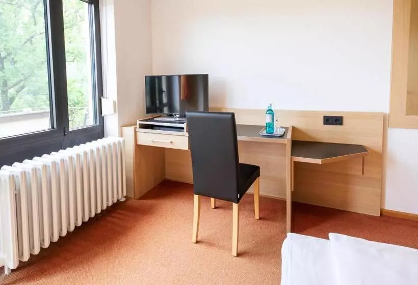 اتاق استاندارد یک تخته با چشم‌انداز, Achat Hotel Franziskushöhe Lohr