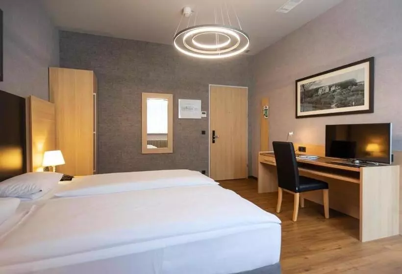 اتاق استاندارد با چشم‌انداز, Achat Hotel Franziskushöhe Lohr