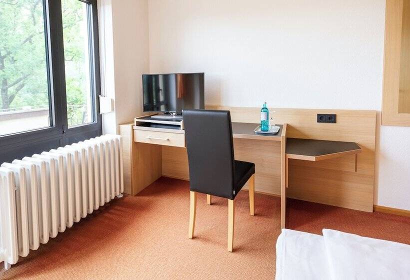 침실 별도 스탠다드 싱글 룸, Achat Hotel Franziskushöhe Lohr