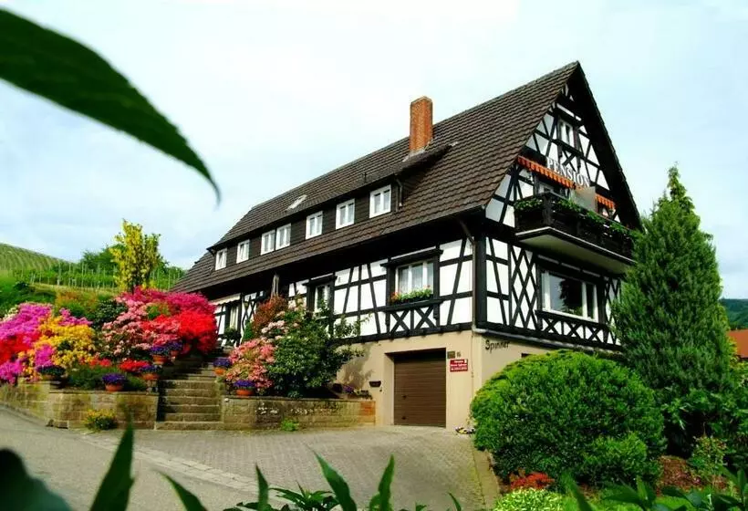 スタンダードルーム, Pension Am Weinberg