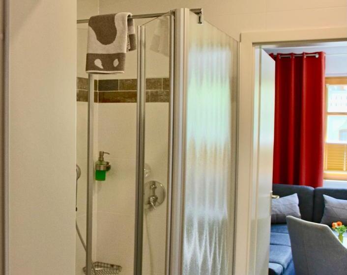 Апартаменты 1 Спальня Нижний Этаж, Pension Kurhausblick