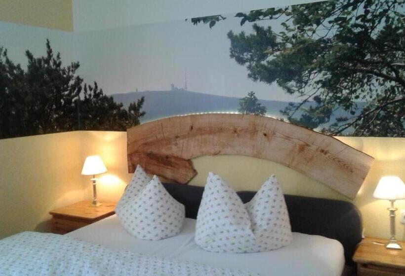 스탠다드 룸, Pension Schmidt