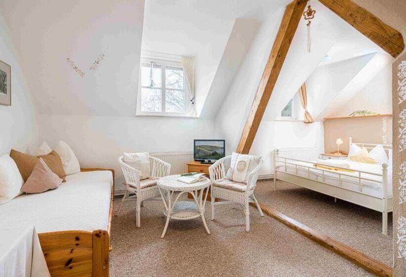 스탠다드 트리플 룸, Pension Schmidt