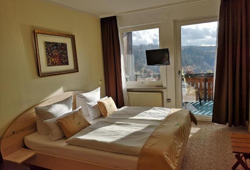 バルコニー付きスタンダードルーム, Pension Talblick Bad Grund
