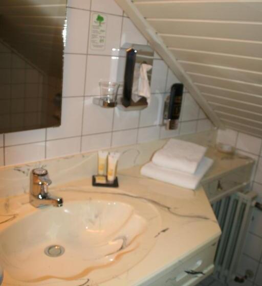 Номер Economy Индивидуальный, Sure Hotel By Best Western Rhoen Garden