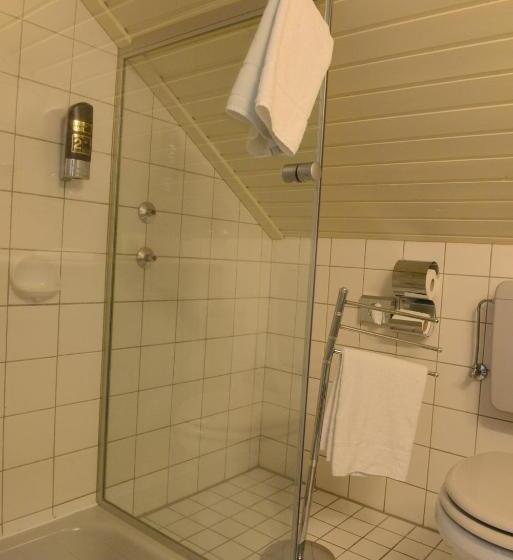 Номер Economy Индивидуальный, Sure Hotel By Best Western Rhoen Garden