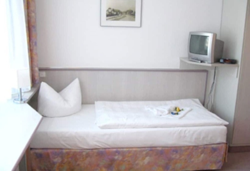 غرفة قياسية فردية, Big Reisehotel Wolfen