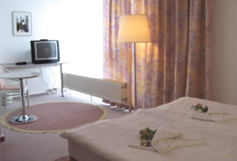 غرفة قياسية, Big Reisehotel Wolfen