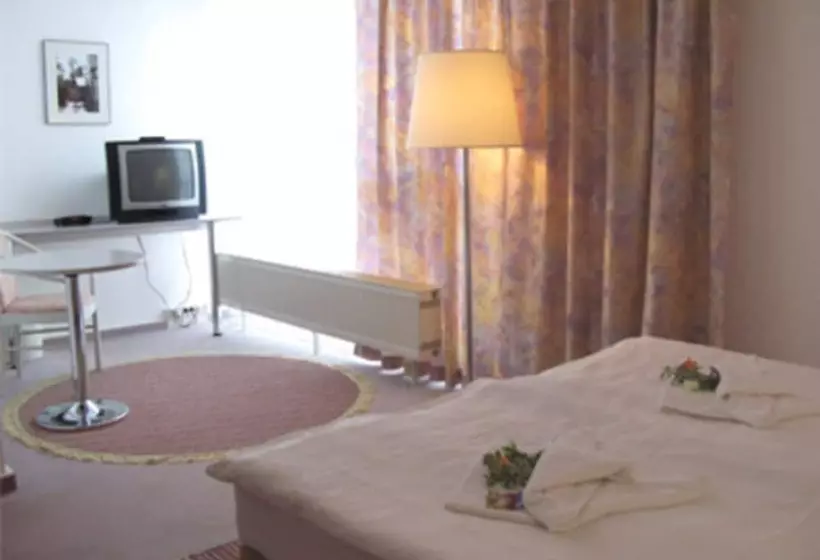 Standard-huone, Big Reisehotel Wolfen