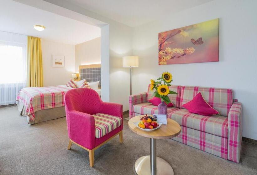 高级小型套房, Eden