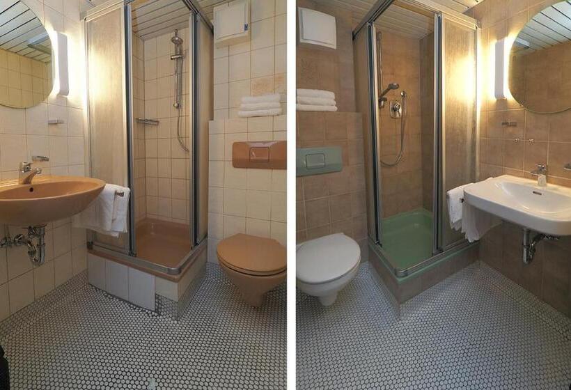 スタンダードシングルルーム, Goldener Hirsch Mosbach