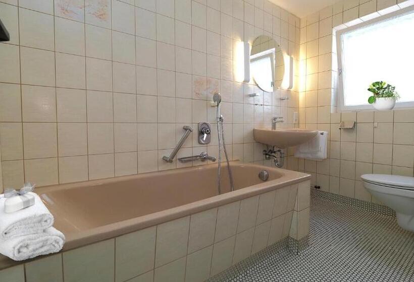 デラックスルーム, Goldener Hirsch Mosbach