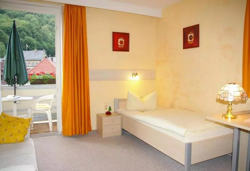 Standard Yhden Hengen Huone, Heissinger