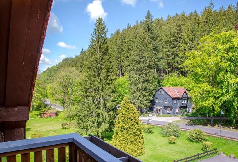 Полулюкс с Балконом, Waldhotel Friedrichroda