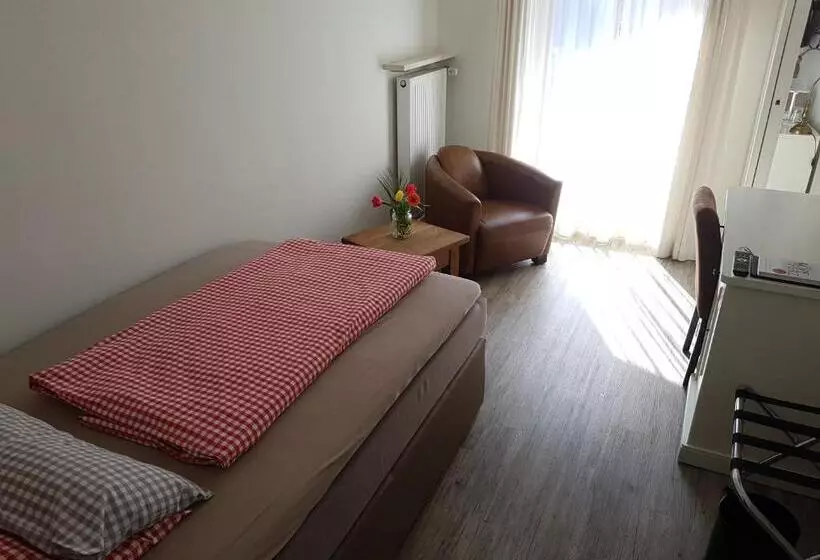 Standard Yhden Hengen Huone, Alpinhotel Inzeller