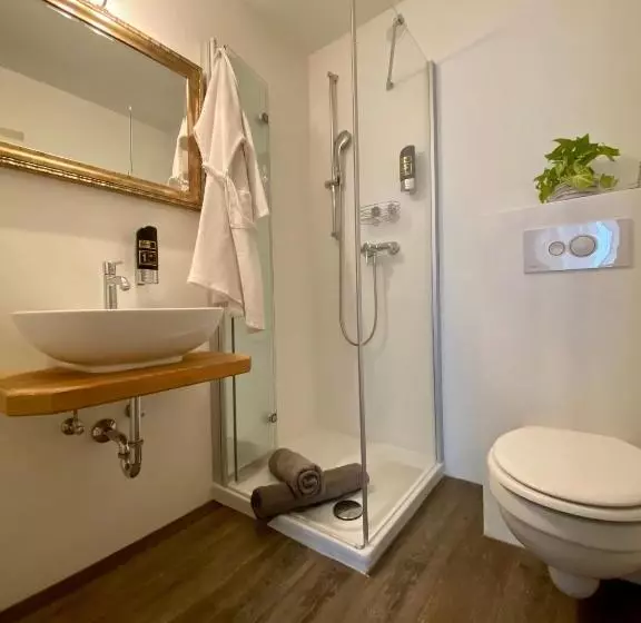 Standard-huone, Alpinhotel Inzeller
