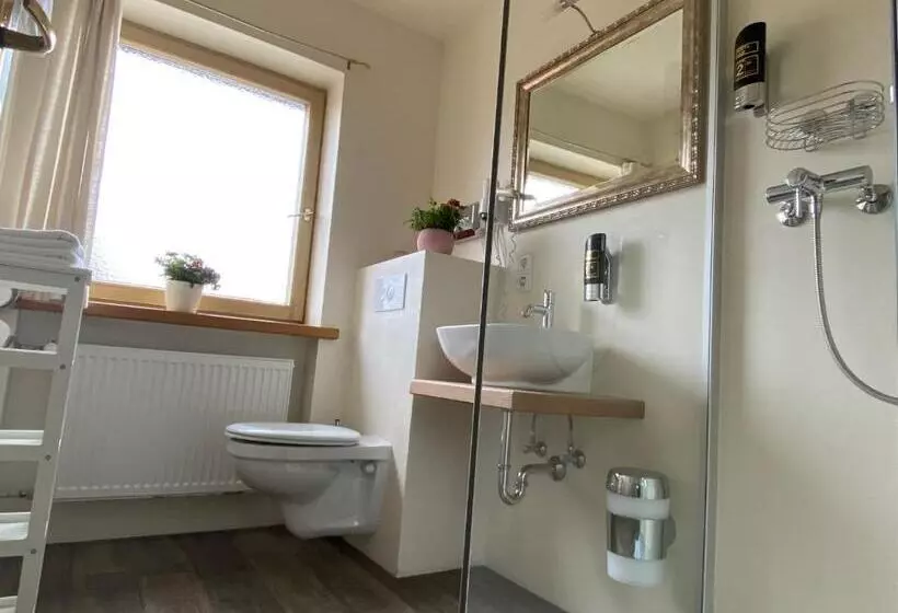 Standard-huone, Alpinhotel Inzeller