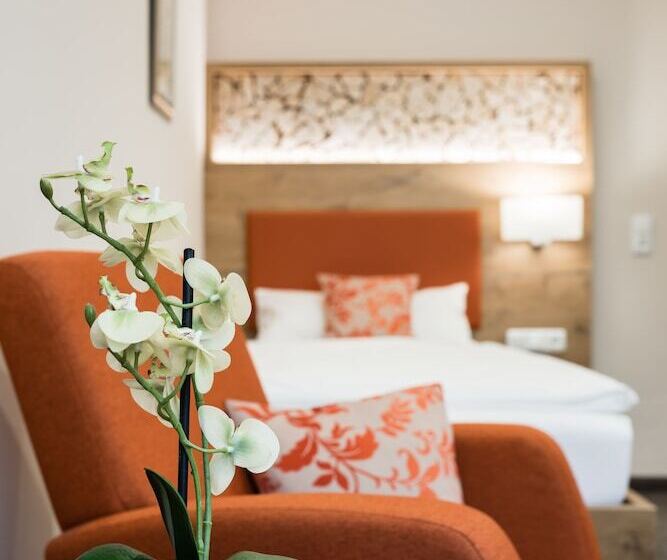 舒适型单人间, Pension Fortuna