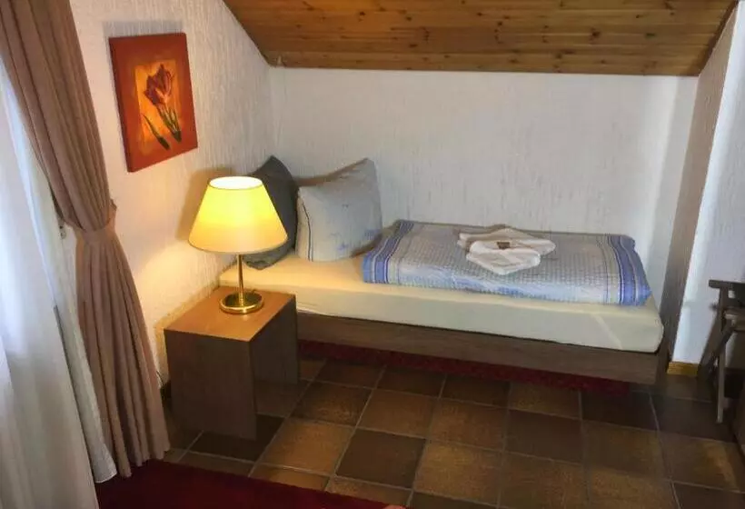 ガーデンビューのスタンダードワンルーム, Diamanthotel Idar Oberstein