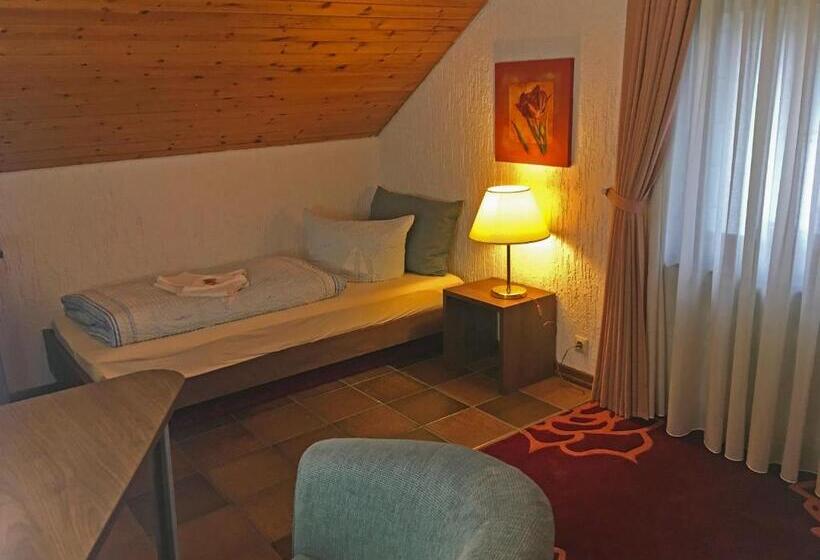 סטודיו סטנדרטי נוף לגינה, Diamanthotel Idar Oberstein