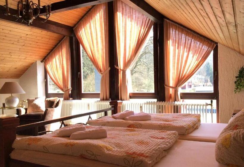 סטודיו סטנדרטי נוף לגינה, Diamanthotel Idar Oberstein