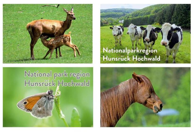 סטודיו סטנדרט עם מרפסת, Diamanthotel Idar Oberstein