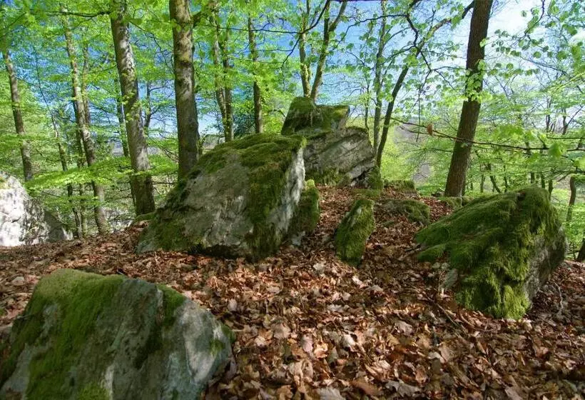 コンフォートルーム, Diamanthotel Idar Oberstein