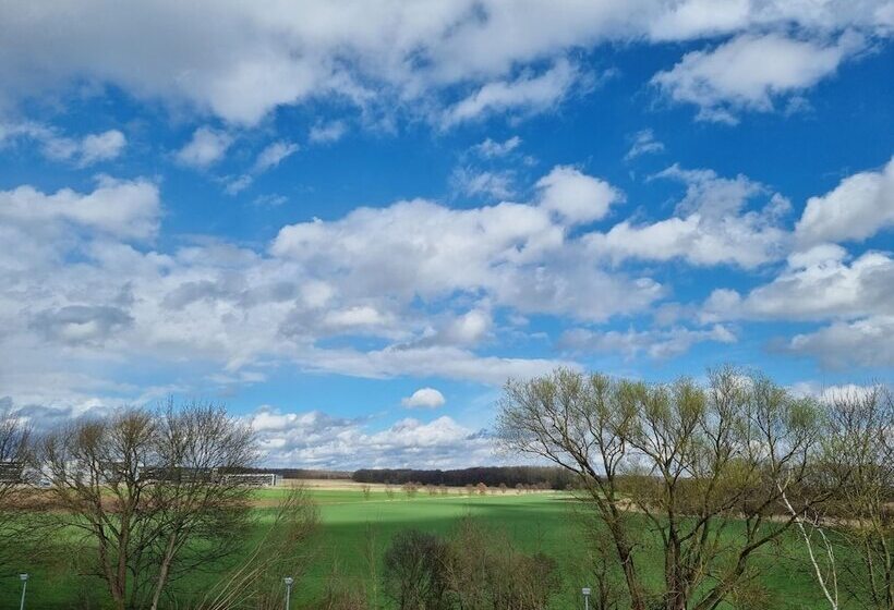 ファミリールーム, Erbenholz