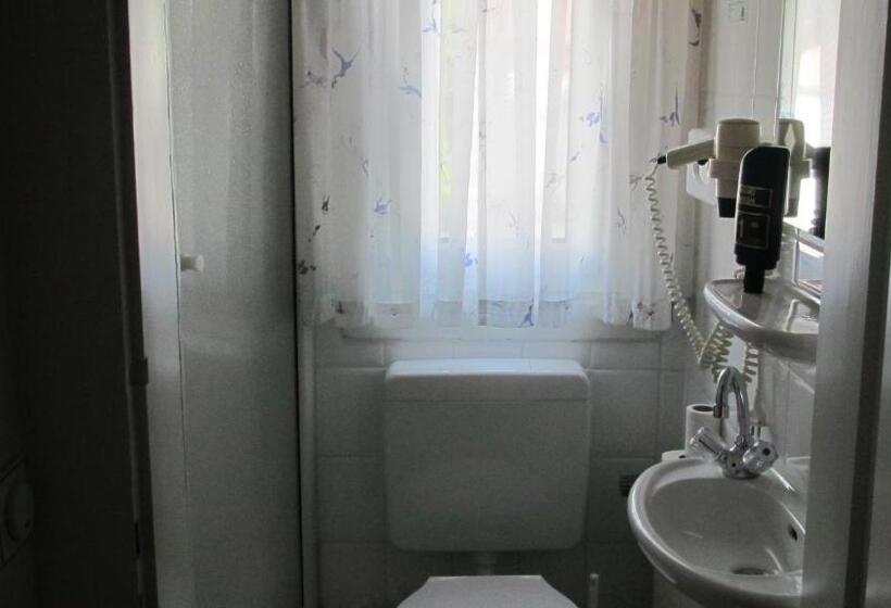 اتاق استاندارد یک نفره, Alleeschlößchen