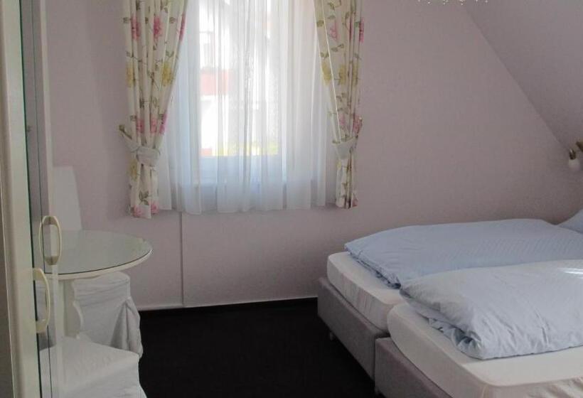 اتاق استاندارد یک نفره, Alleeschlößchen