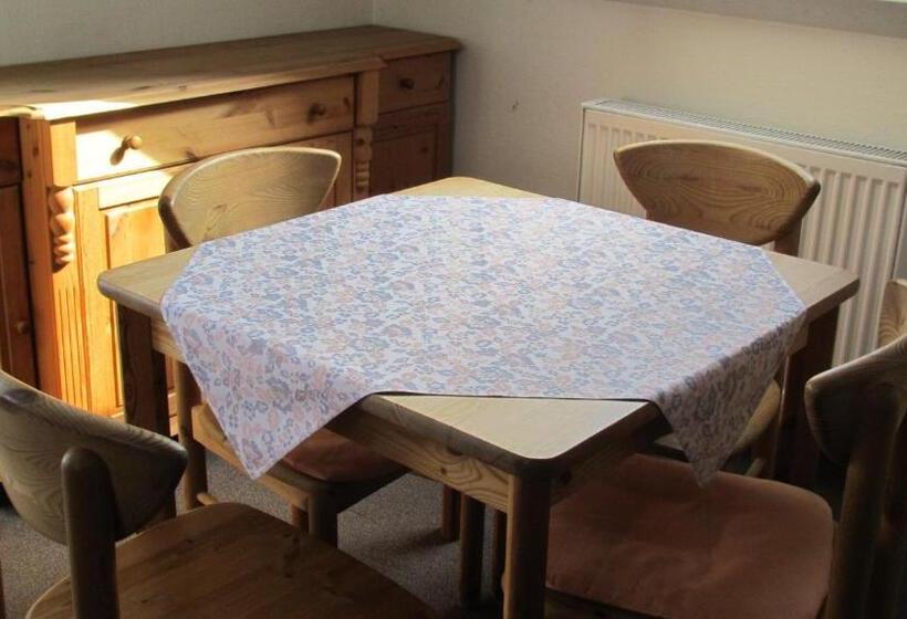 آپارتمان 1 خوابه با تراس, Alleeschlößchen