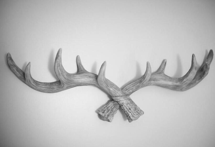 스탠다드 룸, Alpenglühn