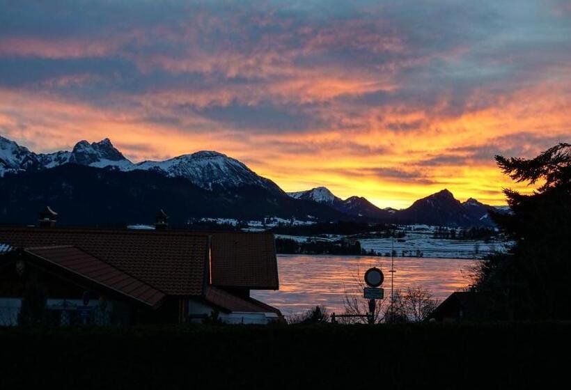 스탠다드 싱글 룸, Alpenglühn