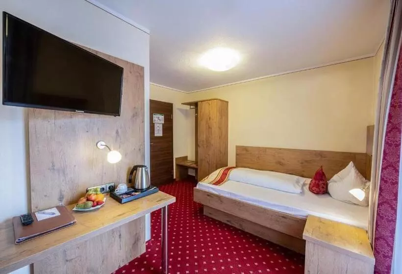 スタンダードシングルルーム, Alpinaros