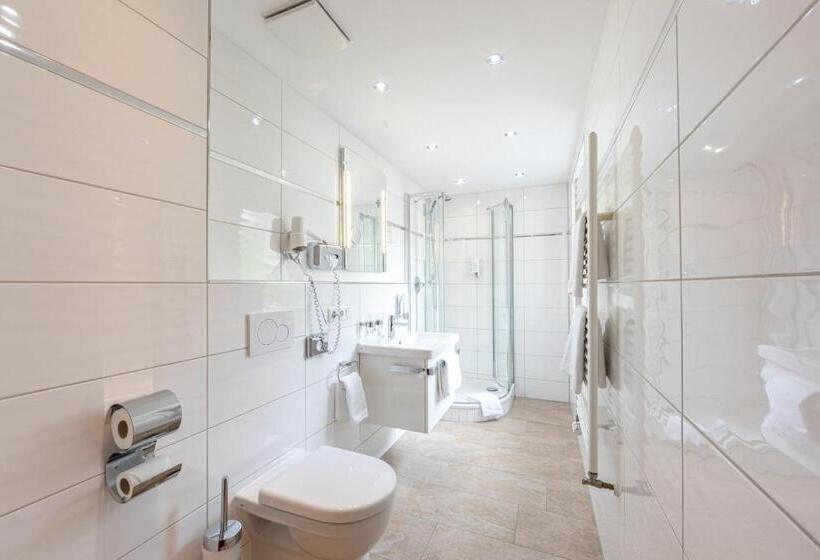 스탠다드 룸, Alpinaros