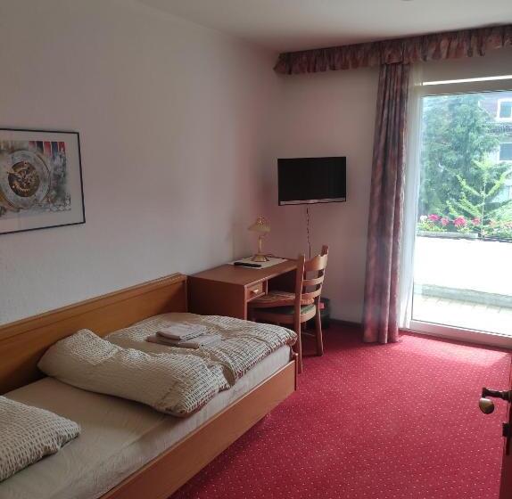 带阳台的标准单人间, Aura Am Schloss